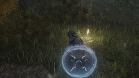 《艾尔登法环》好看强力的水母盾获取方法