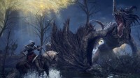 “老头环有什么好玩的？” | 葡萄视点