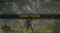 《艾尔登法环》武士居合战技流玩法介绍