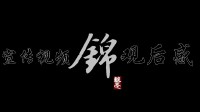 看完《代号：锦衣卫》游戏宣传片 讲讲我的观后感