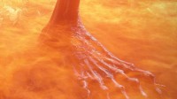 足控福利？有人收集了老头环75张不同生物的脚部特写