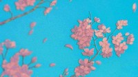 【图集推荐】雪之下雪乃：冰山黑长直傲娇平胸大小姐