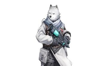动视暴雪被指抄袭国内画师作品 某国产游戏无辜躺枪