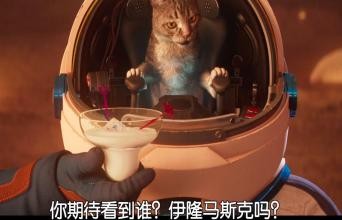 邪恶化身？为什么人类一直害怕可爱猫猫？