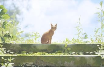 毕业两年 我想在赛博朋克的世界当一只小猫咪