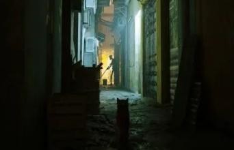 光子TA拆解《Stray》 第三喵称下的游戏该怎么设计？