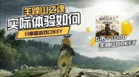 《羊蹄山之魂》体验如何？社区分享赢激活码！